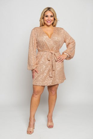 Red Wine Sequins Dress