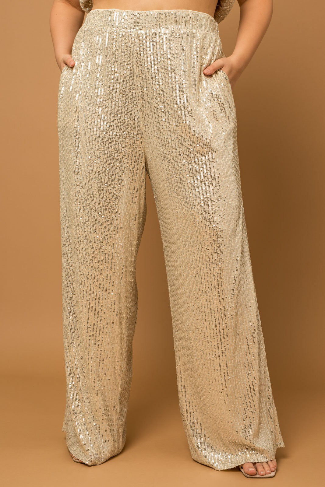 Anya Sequins Pants