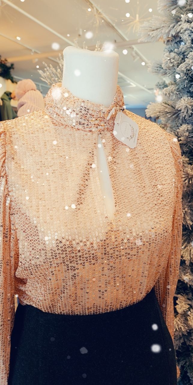 Elana Sequins Top